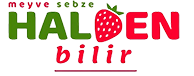 Halden Bilir